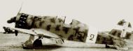 Asisbiz Fiat G50 Freccia 20 Gruppo 151 Squadriglia 151 2 MM6385 Sidi Razegh 29th Nov 1941 01