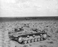 Asisbiz Operation Crusader damaged German Panzer IIIs in the Valley of Death near Belhamed Libya 01
