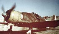 Asisbiz Fiat G50 Freccia 20 Gruppo 352 Squadriglia 352 3 Lybia 1941 02