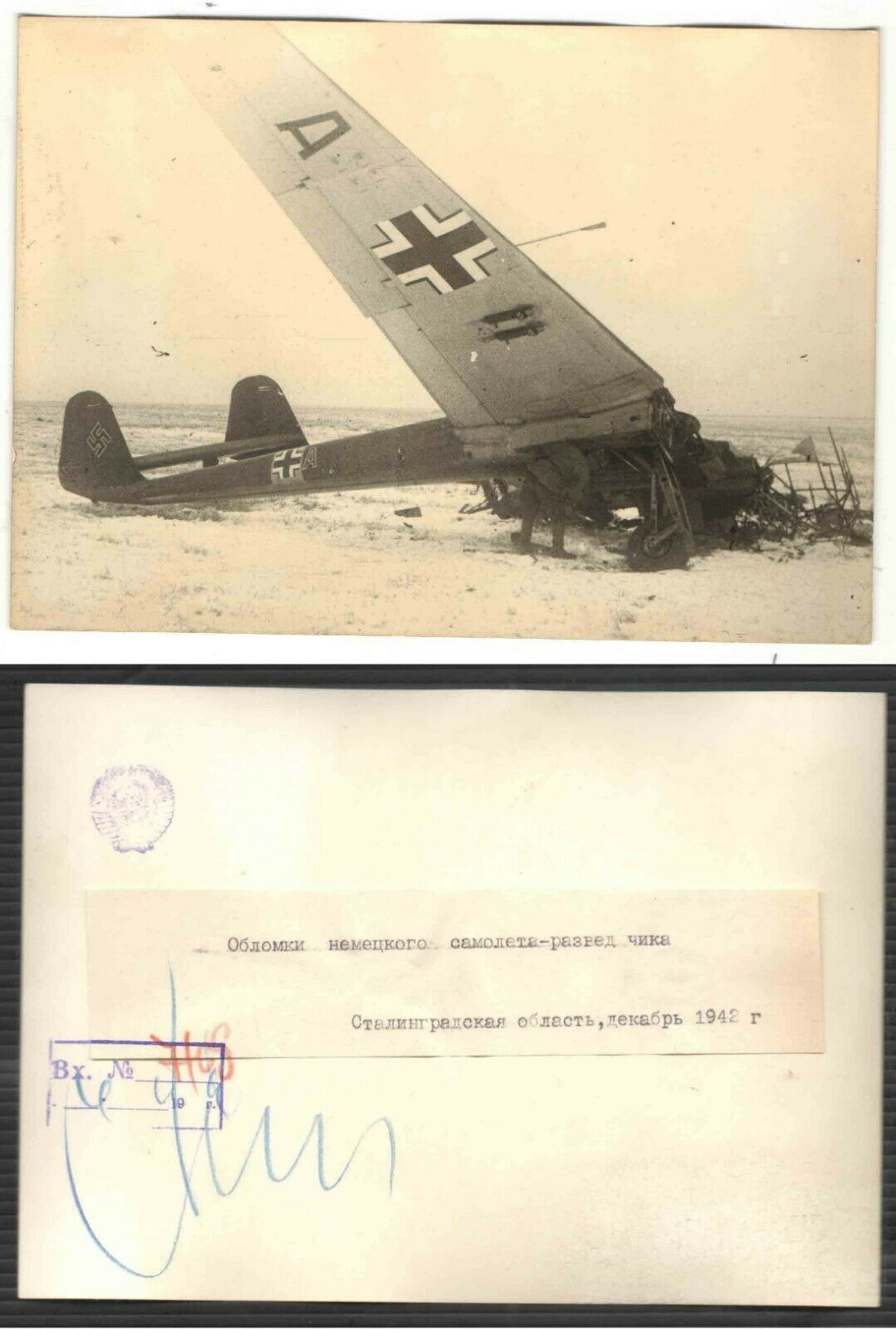 Focke Wulf Fw 189A destroyed in Russia 1942 ebay1