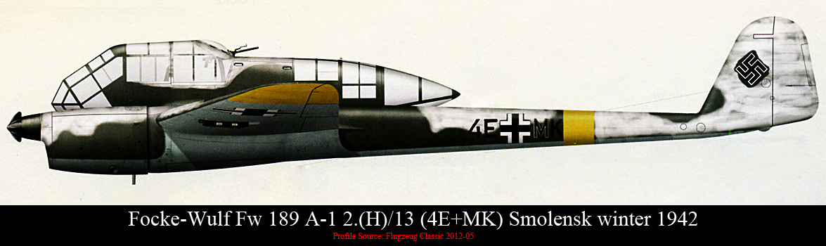 Focke Wulf Fw 189A1 2.(H)13 4E+MK Smolensk winter 1942 0A