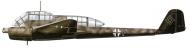 Asisbiz Focke Wulf Fw 189 NAG15 +F Naglowitz 1944 0A