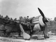 Asisbiz Focke Wulf Fw 190A8 Yellow 1 RLM 74 75 76 abandoned France 1944 03