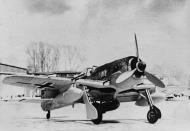 Asisbiz Focke Wulf Fw 190G carring a 1200 lb bomb and long range underwing fuel tanks eBay 01