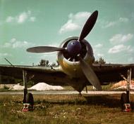 Asisbiz Focke Wulf Fw 190A2 4.JFS4 Blue 4 1942 02