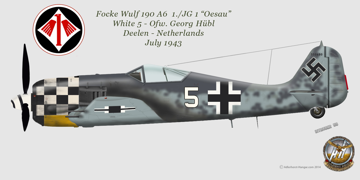Focke Wulf Fw 190A6 1.JG1 White 5 Georg Hubl Deelen Netherlands July 1943 0A