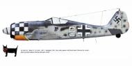 Asisbiz Focke Wulf Fw 190A6 1.JG1 White 9 Heinz Gunther Luck 550375 Schipol Holland 1943 0B