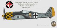 Asisbiz Focke Wulf Fw 190A6 3.JG1 Yellow 5 Deelen Netherlands Oct 1943 0A
