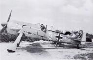 Asisbiz Focke Wulf Fw 190A2 7.JG2 White 9 Willi Stratmann France 1942 01