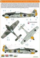 Asisbiz Focke Wulf Fw 190A4 9.JG2 (Y4+I) Siegfried Schnell WNr 746 Vannes France Feb 1943 0B