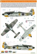 Asisbiz Focke Wulf Fw 190A4 9.JG2 Yellow 4 Siegfried Schnell WNr 746 Vannes France Feb 1943 0B