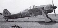 Asisbiz Focke Wulf Fw 190A III.JG2 Armin Faber WNr 5313 landed in Wales June 23 1942 03