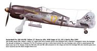 Asisbiz Focke Wulf Fw 190A8 12.(Sturm)JG3 Yellow 17 Willi Unger 1944 0A