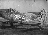 Asisbiz Focke Wulf Fw 190A8 4.JG300 White hite 7 Germany 1945 02