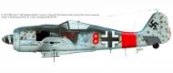 Asisbiz Focke Wulf Fw 190A8 5.JG300 Red 8 Matthaus Erhard Germany 1944 0C
