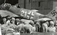 Asisbiz Focke Wulf Fw 190A8 5.JG301 White 21 WNr 682989 Germany 1945 01