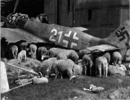 Asisbiz Focke Wulf Fw 190A8 5.JG301 White 21 WNr 682989 Germany 1945 02