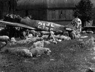 Asisbiz Focke Wulf Fw 190A8 5.JG301 White 21 WNr 682989 Germany 1945 03