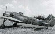 Asisbiz Focke Wulf Fw 190A9 6.JG301 Red 22 WNr 490044 Landensalza 1945 03