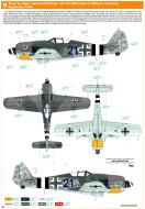 Asisbiz Focke Wulf Fw 190A8 II.JG4 Blue 21 Gerhard Schroder Welzow Germany Sep 1944 0B