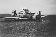 Asisbiz Focke Wulf Fw 190A8 Stab I.JG51 WNr 739141 belly landed at Jarlstengaard nr Sandby 8 May 1943 04