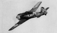 Asisbiz Focke Wulf Fw 190A I.JG54 White 5 Walter Nowotny 1942 01