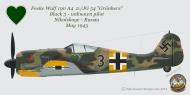 Asisbiz Focke Wulf Fw 190A4 2.JG54 Black 3 Nikolskoye Russia May 1943 0A