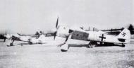 Asisbiz Focke Wulf Fw 190A4 3.JG54 Yellow 11 Lake Ladoga Russia 1943 01