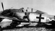 Asisbiz Focke Wulf Fw 190A8 13.JG54 White 16 France 1944 01