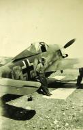 Asisbiz Focke Wulf Fw 190A SG1 Triangle Yellow C eBay 01