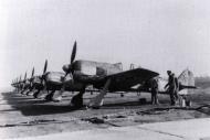 Asisbiz Focke Wulf Fw 190F2 SG1 triangle W Gruppe Deblin Irena Poland 1943 01
