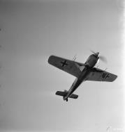 Asisbiz Focke Wulf Fw 190A 4.SG3 White 9 lifts off from Immola 2nd Jul 1944 02
