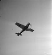 Asisbiz Focke Wulf Fw 190A 4.SG3 White 9 lifts off from Immola 2nd Jul 1944 03