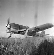 Asisbiz Focke Wulf Fw 190A 5.SG3 Black 1 begins its mission at Immola 2nd Jul 1944 01