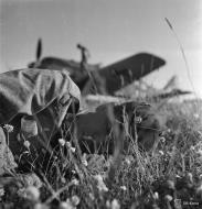 Asisbiz Focke Wulf Fw 190A 5.SG3 pilot grabs a nap at Immola 2nd Jul 1944 01