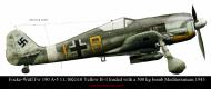 Asisbiz Focke Wulf Fw 190 A5 11.SKG10 Yellow B loaded with a 500 kg bomb Mediterranean 1943 0A