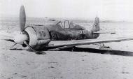 Asisbiz Focke Wulf Fw 190A III.SKG10 Yellow 4 Seif WNr 2317 crash landed Tunisia 1943 01