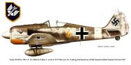 Asisbiz Focke Wulf Fw 190A4 11.SKG10 Yellow 4 Ludwig Seif WNr 0142317 Tunisia 0B