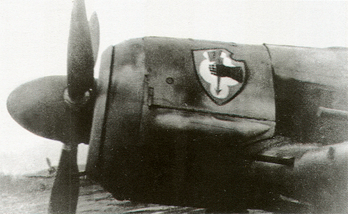 Focke-Wulf-Fw-190A6-cowling-showing-Stur