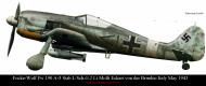 Asisbiz Focke Wulf Fw 190A5 Stab I.SchG2 Molli Eckart von der Brindisi Italy May 1943 0A