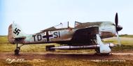 Asisbiz Focke Wulf Fw 190A5 U 14 Torpedo version Stkz TD+SI White 871 WNr 150871 ETC 502 rack Germany 01