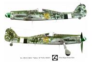 Asisbiz Focke Wulf Fw 190D13 Stab JG26 Yellow 10 Kdr Franz Gotz WNr 836017 Flensburg Germany 1945 0C