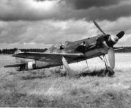 Asisbiz Focke Wulf Fw 190D13 Stab JG26 Yellow 10 Kdr Franz Gotz WNr 836017 Weiche Germany 1945 01