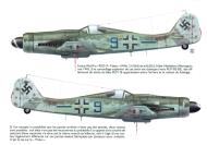 Asisbiz Focke Wulf Fw 190D9 8.JG6 Blue 9 WNr 211063 Halle Nietleben May 1945 Avions 165 P22