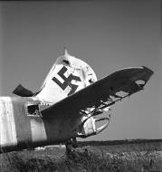 Asisbiz Focke Wulf Fw 190D9 Geschwaderstab JG6 aircraft lies abandoned at Frankfurt 1946 05