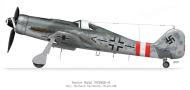 Asisbiz Focke Wulf Fw 190D9 Stab JG6 Gerhard Barkhorn 1945 0A
