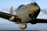 Asisbiz Airworthy Curtiss P 40CU Warhawk as 81PG15PS White 160 02