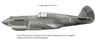 Asisbiz Curtiss Hawk 81A 23FG1PS White 1 Peter Atkinson P 8125 0A