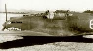 Asisbiz Curtiss Hawk 81A 23FG1PS White 6 P 8187 John Deall belly landed 03