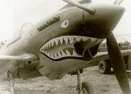 Asisbiz Curtiss Hawk 81A 23FG2PS White 36 P 8123 Edward Rector Burma 1942 01